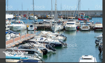 saripalli operation boat rental operation on Mount Dora, FL 2